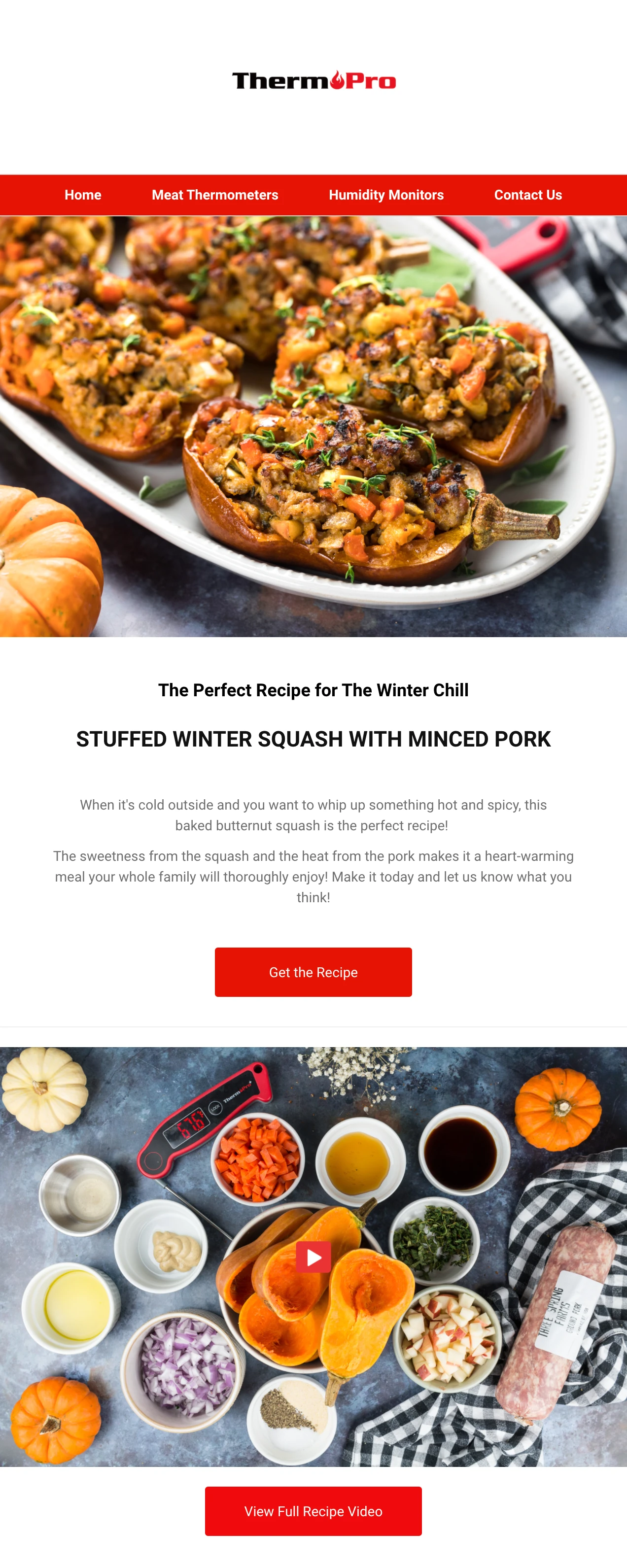 thermpro email with embedded video